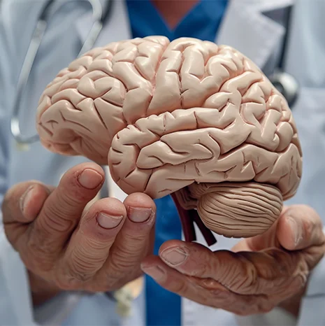 Expert Neurological Rehabilitation in Salford at Therapy First, Neurological Rehabilitation, Neurological rehabilitation services UK, Stroke rehabilitation, Neuroplasticity in recovery therapy, Parkinson’s disease physiotherapy treatment